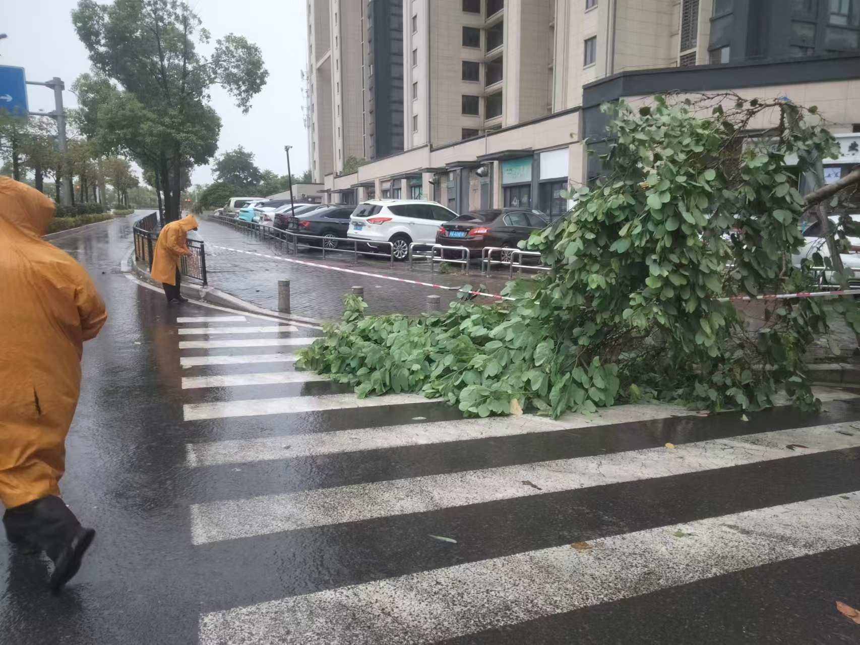 微信图片_20240725151921